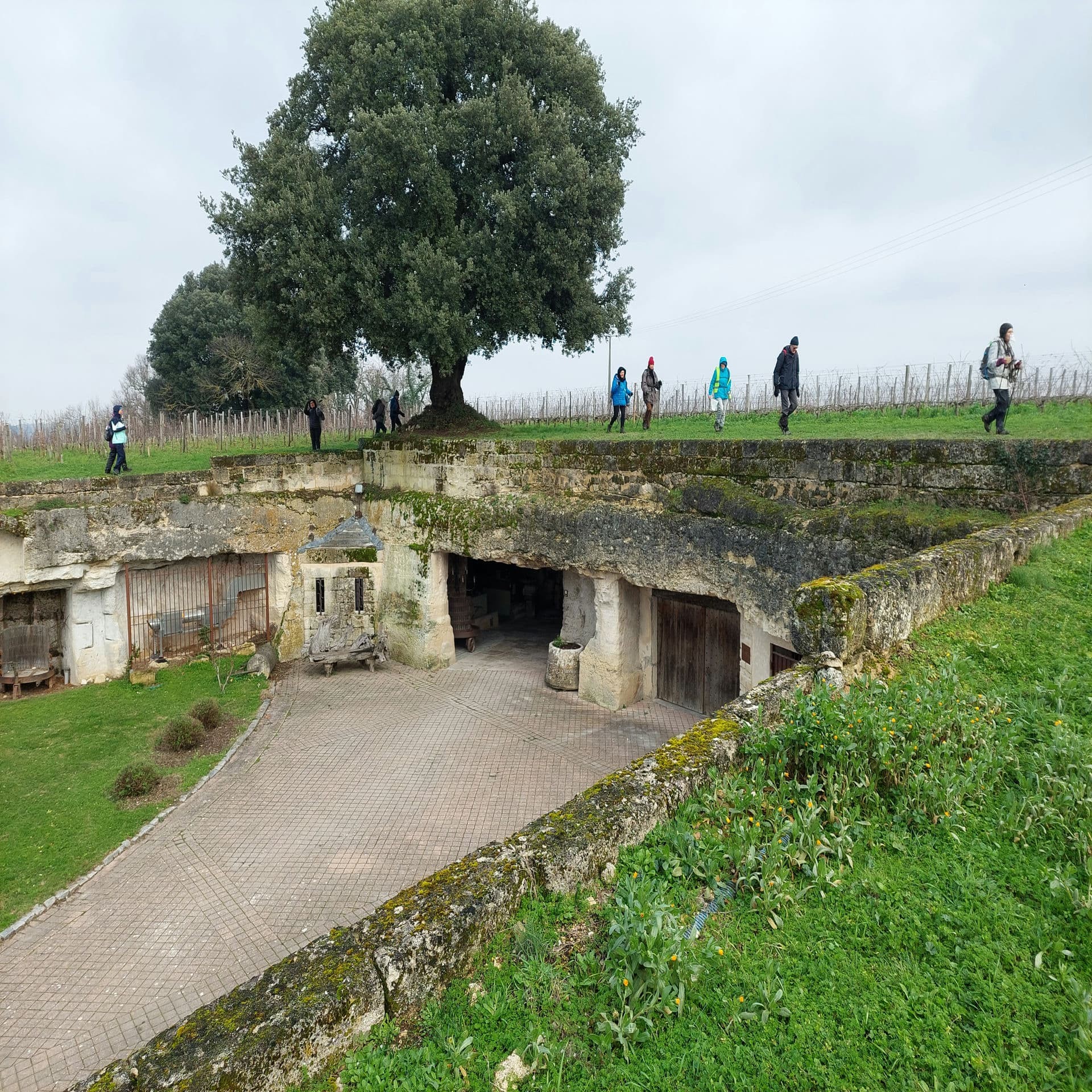 3 - Saint-Emilion 22/01/2023