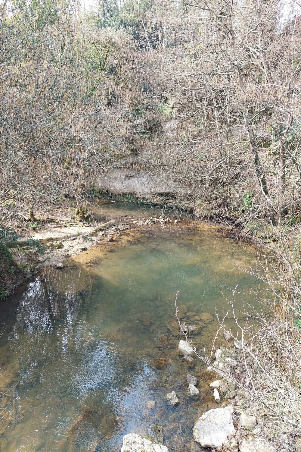 53 verdelais stecroix26 03 2023