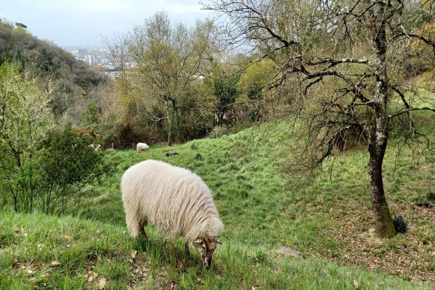67 floirac 30 03 2023