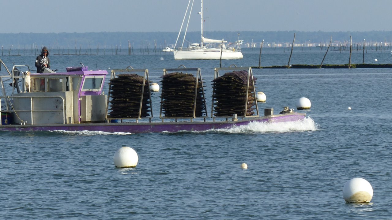 ARCACHON Dimanche 15 octobre  6