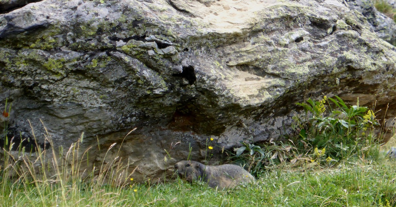 ARIEGE Juillet 2019-1