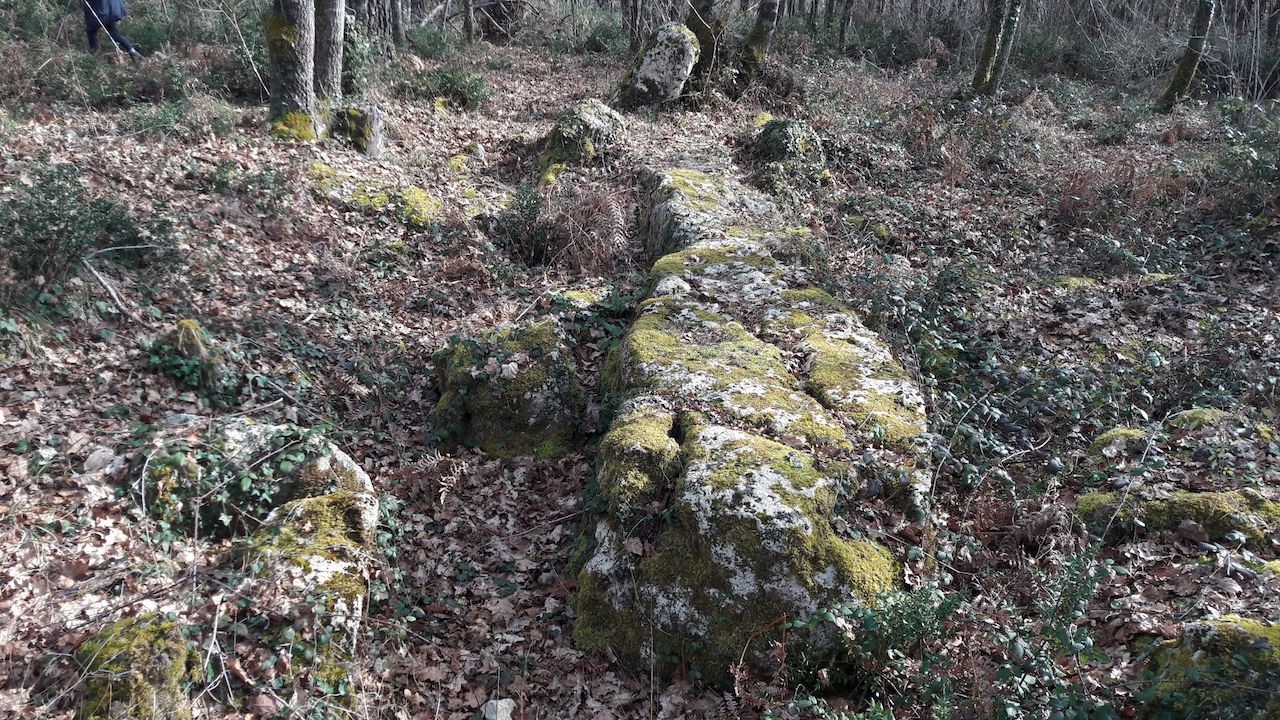 Barsac dimanche 27 02 2022 1