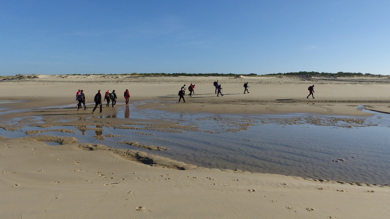 BISCAROSSE plage La Lagune dimanche 19 novembre 2017   15