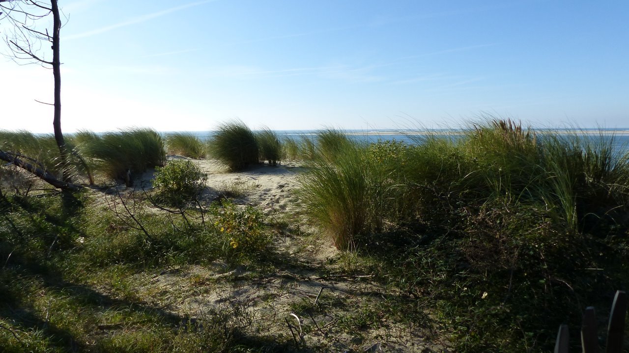 BISCAROSSE plage La Lagune dimanche 19 novembre 2017   18