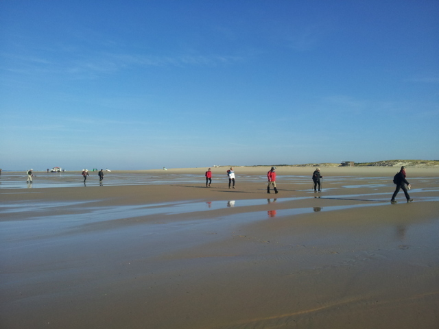 BISCAROSSE plage La Lagune dimanche 19 novembre 2017   3