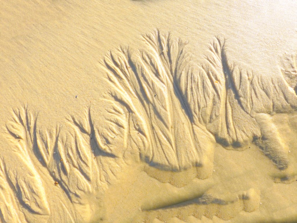 BISCAROSSE plage La Lagune dimanche 19 novembre 2017   7