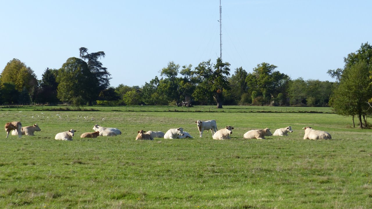 BOULIAC dimanche 13:10:2019-5