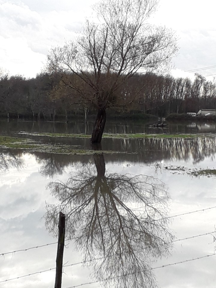 CADAUJAC dimanche 15:12:2019-1