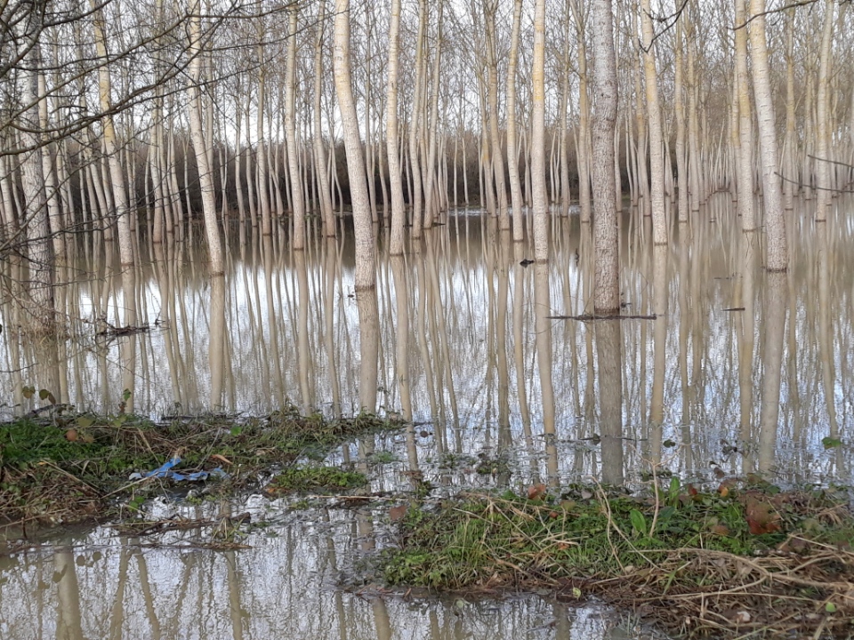 CADAUJAC dimanche 15:12:2019-2