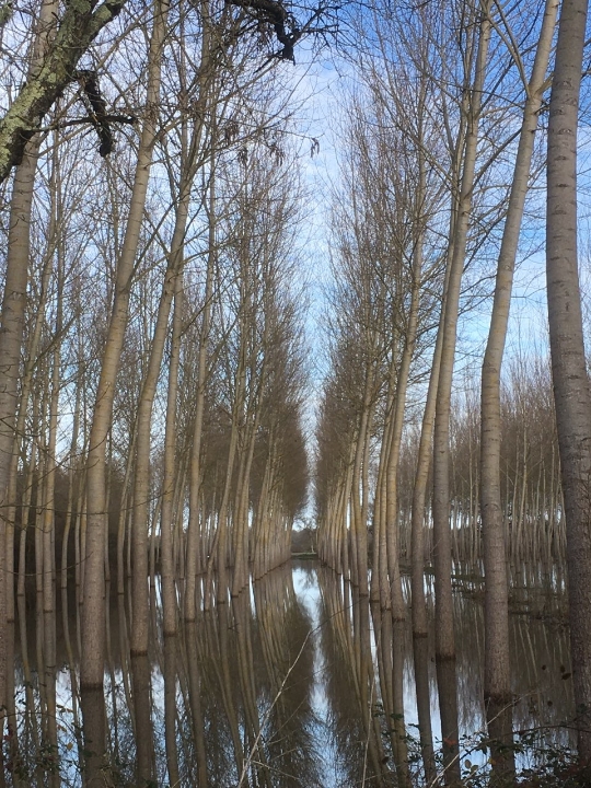 CADAUJAC dimanche 15:12:2019-7