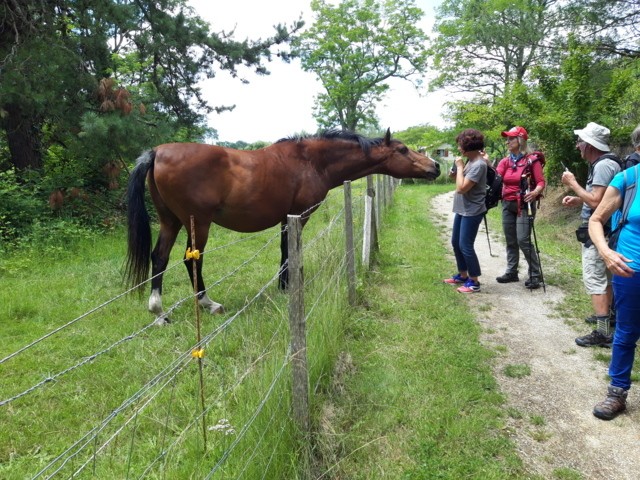 Captieux dimanche 14 06 2020 2