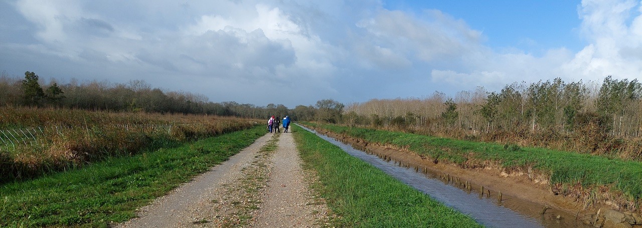 Cussac fort medoc jeudi 3 11 2022 1