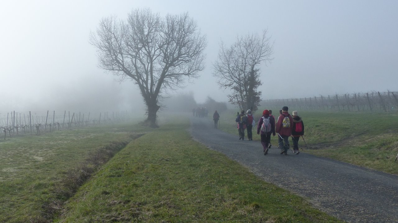 Dimanche 28 janvier 2018 Les Hauts de Langoiran   10