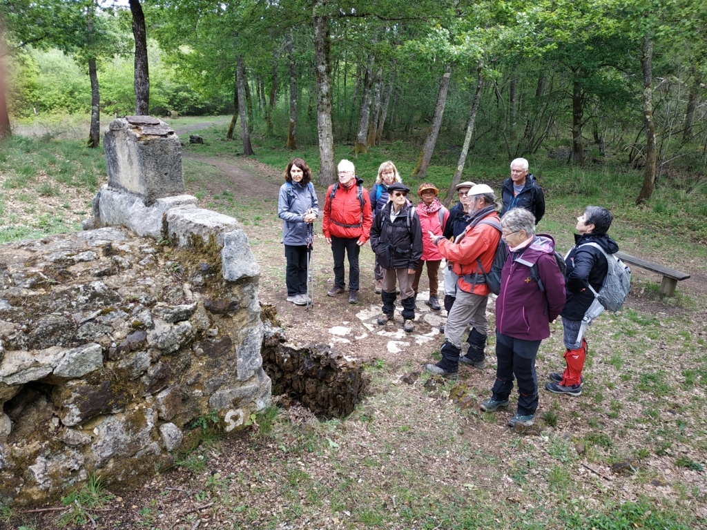 Le Teich 25-04-19_2