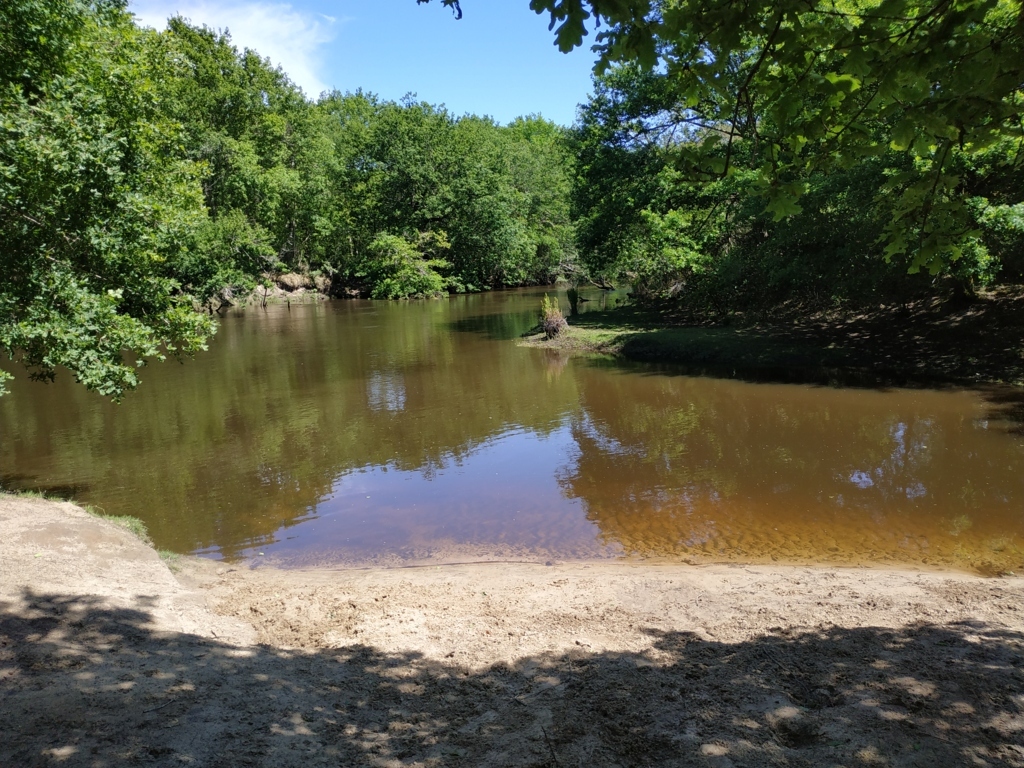 Le Teich 25-04-19_4