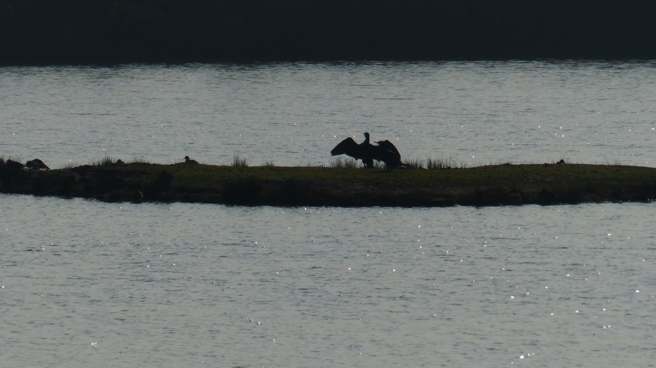 LE TEICH dimanche 25 février  6