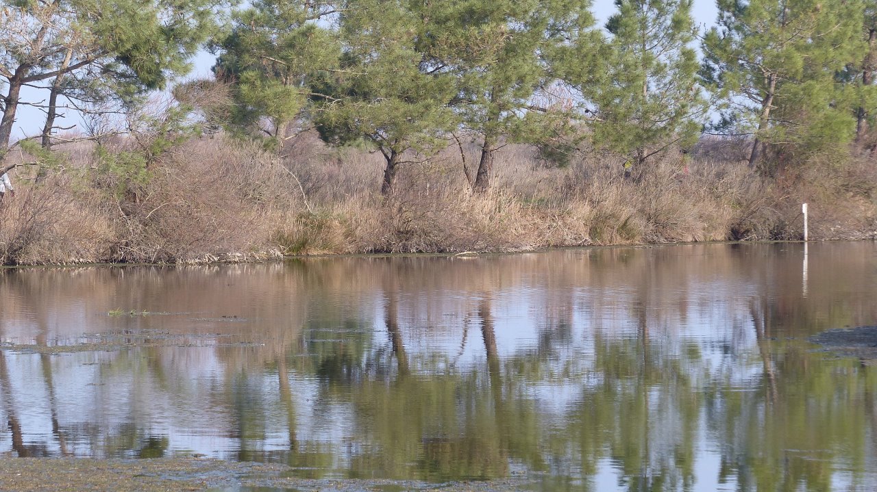 LE TEICH dimanche 25 février  8