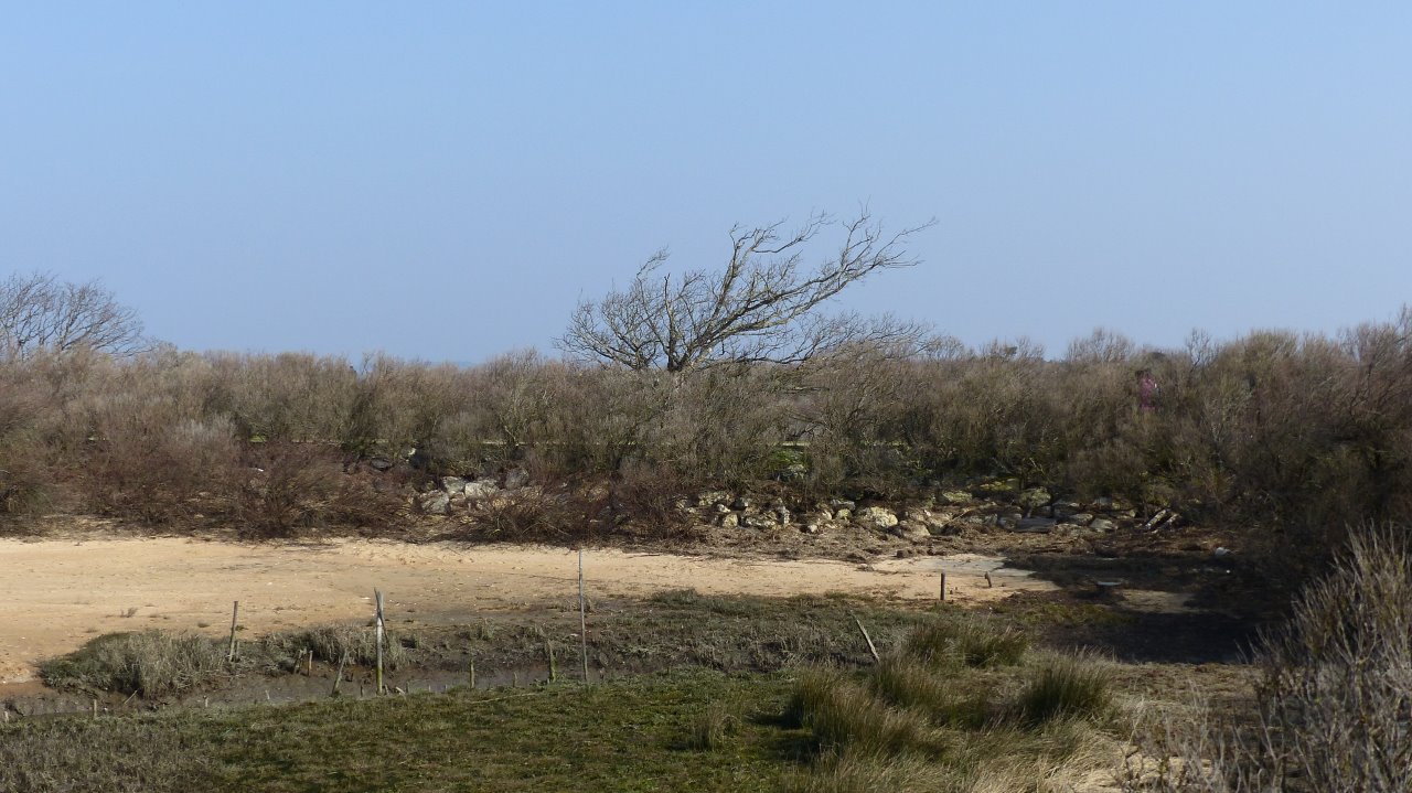 LE TEICH dimanche 25 février  9