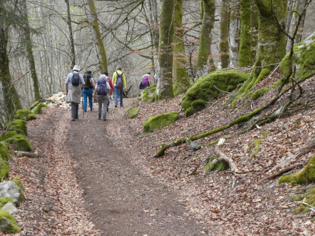 Limousin avril 2019_02