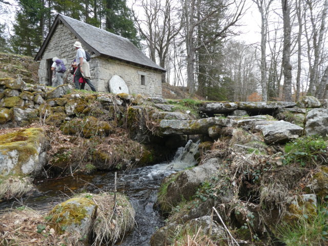 Limousin avril 2019_07