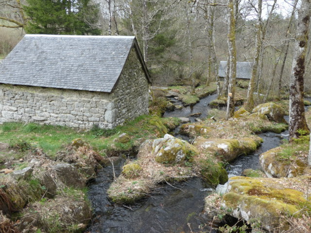 Limousin avril 2019_08