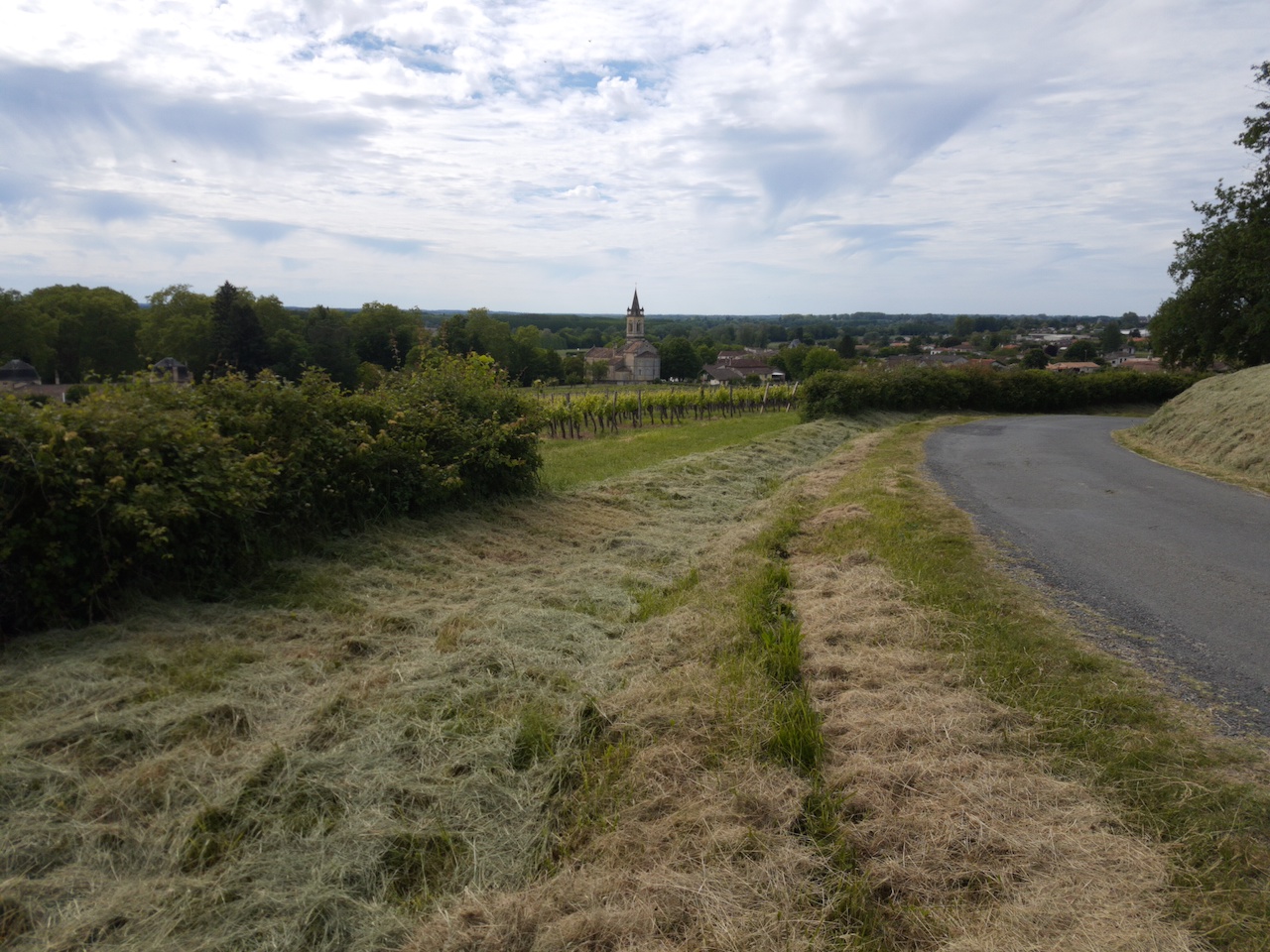 LOUPIAC jeudi 16 mai 2019-4