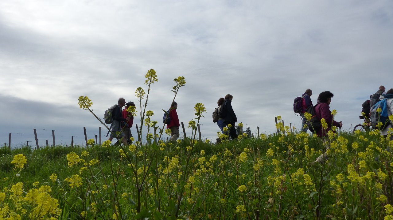 SAILLANS Dimanche 15 avril 2018 2