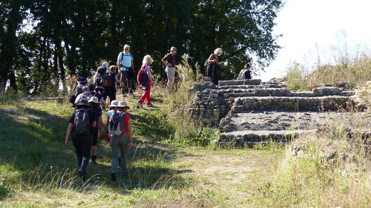 ST GERMAIN D'ESTEUIL dimanche 8:09:2019-14