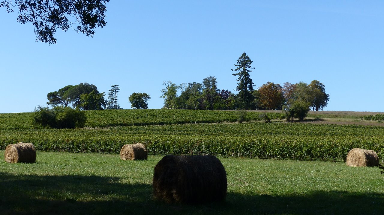 ST GERMAIN D'ESTEUIL dimanche 8:09:2019-17