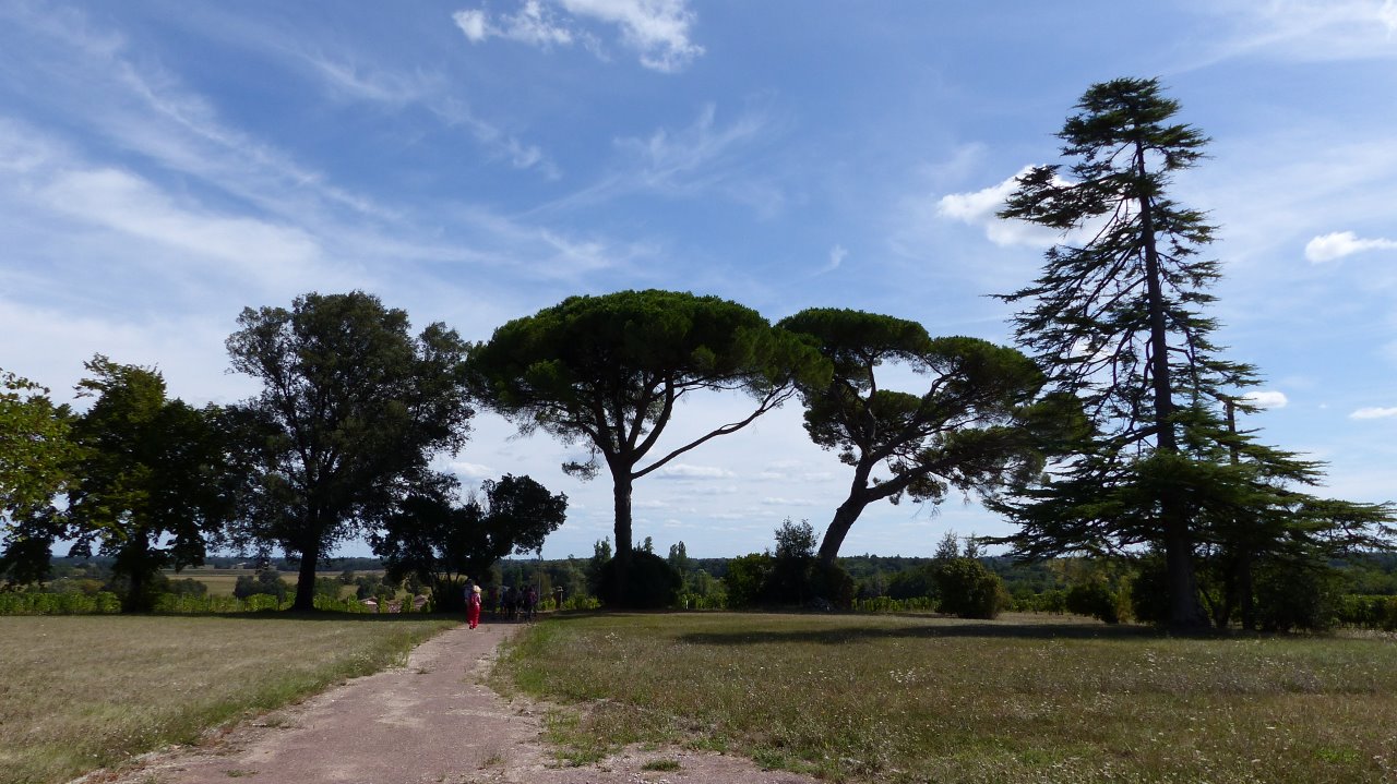 ST GERMAIN D'ESTEUIL dimanche 8:09:2019-18