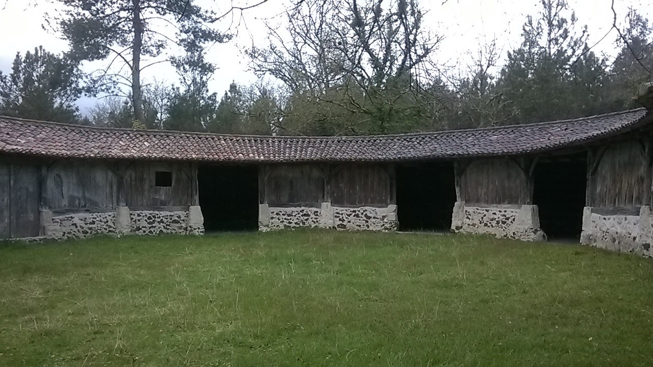 ST MICHEL DE CASTELNAU dimanche 7 avril 2019-1